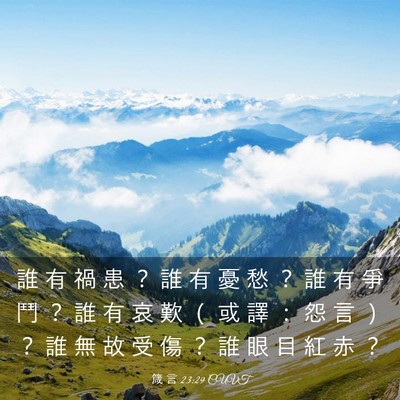Picture 03 - 箴 言 23:29 CUVT - 誰 有 禍 患 ？ 誰 有 憂 愁 ？ 誰 有 - Bible Verse Picture