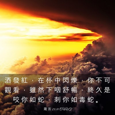 Picture 03 - 箴 言 23:31 CUVT - 酒 發 紅 ， 在 杯 中 閃 爍 ， 你 不 - Bible Verse Picture