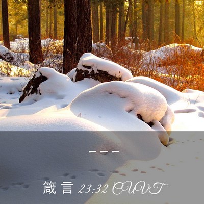 Picture 03 - 箴 言 23:32 CUVT -  - Bible Verse Picture