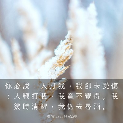 Picture 03 - 箴 言 23:35 CUVT - 你 必 說 ： 人 打 我 ， 我 卻 未 受 - Bible Verse Picture