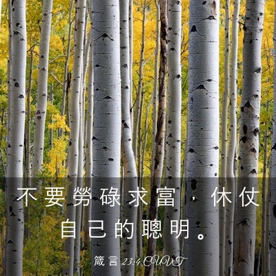 Picture 03 - 箴 言 23:4 CUVT - 不 要 勞 碌 求 富 ， 休 仗 自 己 的 - Bible Verse Picture