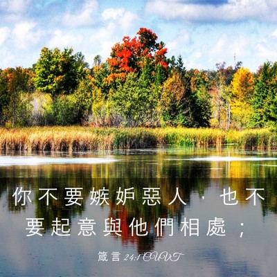 Picture 03 - 箴 言 24:1 CUVT - 你 不 要 嫉 妒 惡 人 ， 也 不 要 起 - Bible Verse Picture