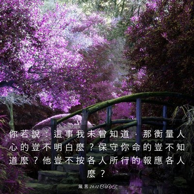 Picture 03 - 箴 言 24:12 CUVT - 你 若 說 ： 這 事 我 未 曾 知 道 ， - Bible Verse Picture
