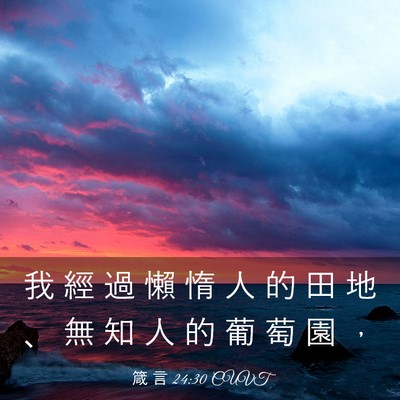 Picture 03 - 箴 言 24:30 CUVT - 我 經 過 懶 惰 人 的 田 地 、 無 知 - Bible Verse Picture