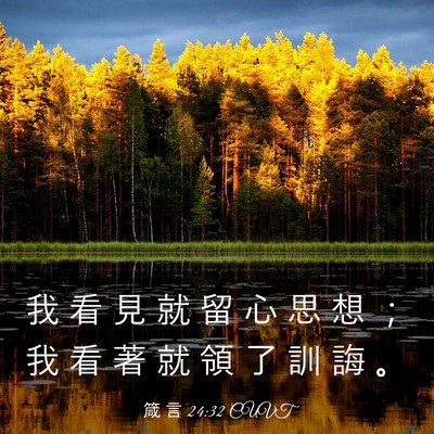 Picture 03 - 箴 言 24:32 CUVT - 我 看 見 就 留 心 思 想 ； 我 看 著 - Bible Verse Picture