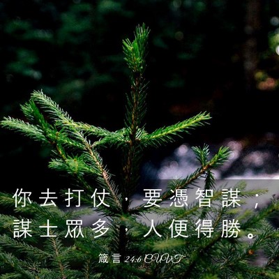 Picture 03 - 箴 言 24:6 CUVT - 你 去 打 仗 ， 要 憑 智 謀 ； 謀 士 - Bible Verse Picture