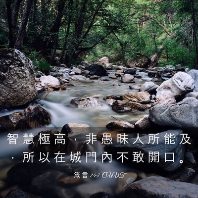Picture 03 - 箴 言 24:7 CUVT - 智 慧 極 高 ， 非 愚 昧 人 所 能 及 - Bible Verse Picture
