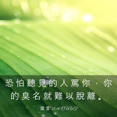 Picture 03 - 箴 言 25:10 CUVT - 恐 怕 聽 見 的 人 罵 你 ， 你 的 臭 - Bible Verse Picture