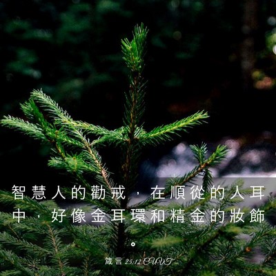 Picture 03 - 箴 言 25:12 CUVT - 智 慧 人 的 勸 戒 ， 在 順 從 的 人 - Bible Verse Picture