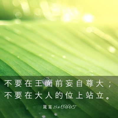 Picture 03 - 箴 言 25:6 CUVT - 不 要 在 王 面 前 妄 自 尊 大 ； 不 - Bible Verse Picture