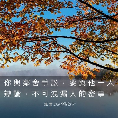 Picture 03 - 箴 言 25:9 CUVT - 你 與 鄰 舍 爭 訟 ， 要 與 他 一 人 - Bible Verse Picture