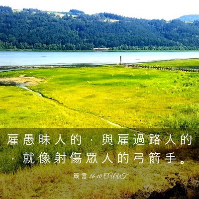 Picture 03 - 箴 言 26:10 CUVT - 雇 愚 昧 人 的 ， 與 雇 過 路 人 的 - Bible Verse Picture