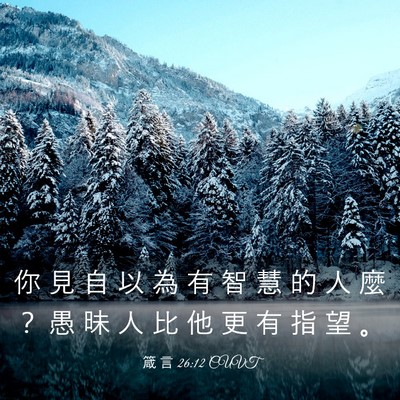Picture 03 - 箴 言 26:12 CUVT - 你 見 自 以 為 有 智 慧 的 人 麼 ？ - Bible Verse Picture
