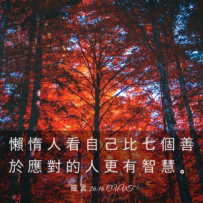 Picture 03 - 箴 言 26:16 CUVT - 懶 惰 人 看 自 己 比 七 個 善 於 應 - Bible Verse Picture