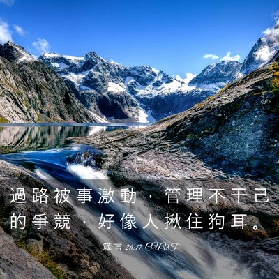 Picture 03 - 箴 言 26:17 CUVT - 過 路 被 事 激 動 ， 管 理 不 干 己 - Bible Verse Picture