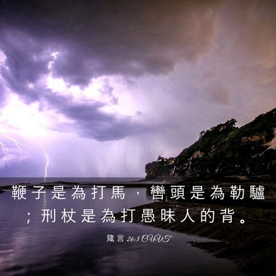 Picture 03 - 箴 言 26:3 CUVT - 鞭 子 是 為 打 馬 ， 轡 頭 是 為 勒 - Bible Verse Picture