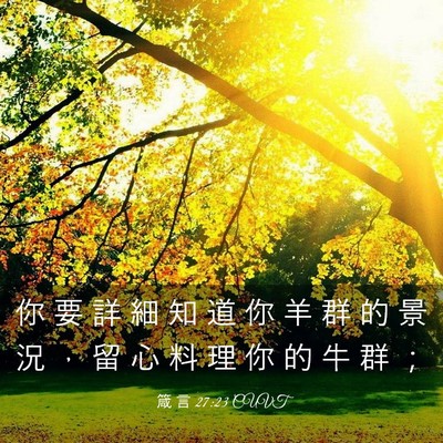 Picture 03 - 箴 言 27:23 CUVT - 你 要 詳 細 知 道 你 羊 群 的 景 況 - Bible Verse Picture