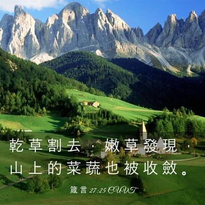 Picture 03 - 箴 言 27:25 CUVT - 乾 草 割 去 ， 嫩 草 發 現 ， 山 上 - Bible Verse Picture