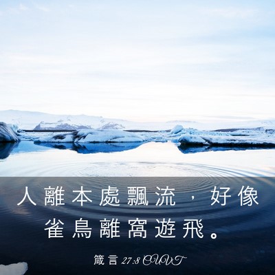 Picture 03 - 箴 言 27:8 CUVT - 人 離 本 處 飄 流 ， 好 像 雀 鳥 離 - Bible Verse Picture
