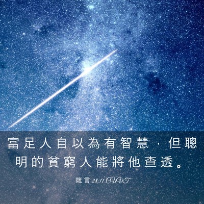 Picture 03 - 箴 言 28:11 CUVT - 富 足 人 自 以 為 有 智 慧 ， 但 聰 - Bible Verse Picture