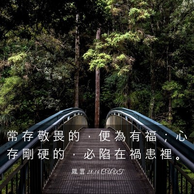 Picture 03 - 箴 言 28:14 CUVT - 常 存 敬 畏 的 ， 便 為 有 福 ； 心 - Bible Verse Picture