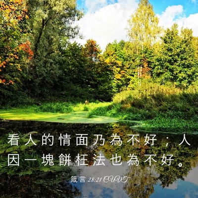 Picture 03 - 箴 言 28:21 CUVT - 看 人 的 情 面 乃 為 不 好 ； 人 因 - Bible Verse Picture