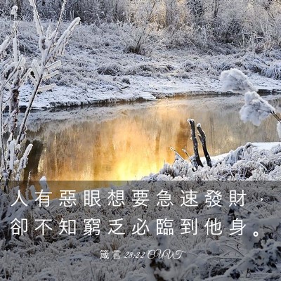 Picture 03 - 箴 言 28:22 CUVT - 人 有 惡 眼 想 要 急 速 發 財 ， 卻 - Bible Verse Picture