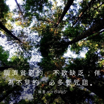 Picture 03 - 箴 言 28:27 CUVT - 賙 濟 貧 窮 的 ， 不 致 缺 乏 ； 佯 - Bible Verse Picture