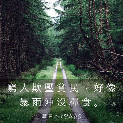 Picture 03 - 箴 言 28:3 CUVT - 窮 人 欺 壓 貧 民 ， 好 像 暴 雨 沖 - Bible Verse Picture