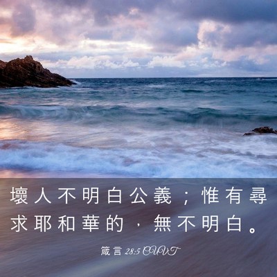 Picture 03 - 箴 言 28:5 CUVT - 壞 人 不 明 白 公 義 ； 惟 有 尋 求 - Bible Verse Picture