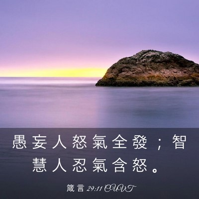 Picture 03 - 箴 言 29:11 CUVT - 愚 妄 人 怒 氣 全 發 ； 智 慧 人 忍 - Bible Verse Picture