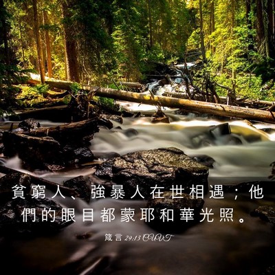 Picture 03 - 箴 言 29:13 CUVT - 貧 窮 人 、 強 暴 人 在 世 相 遇 ； - Bible Verse Picture