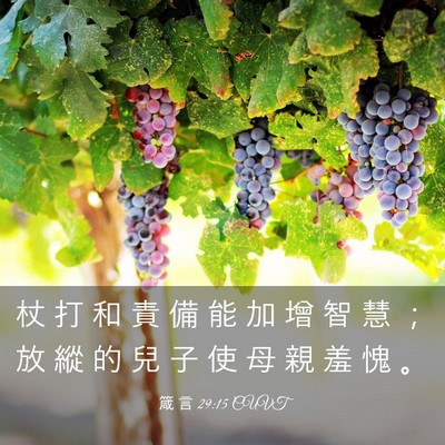 Picture 03 - 箴 言 29:15 CUVT - 杖 打 和 責 備 能 加 增 智 慧 ； 放 - Bible Verse Picture