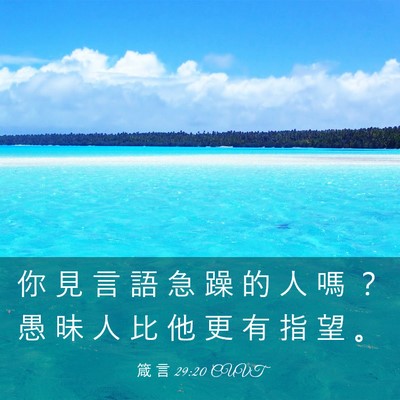 Picture 03 - 箴 言 29:20 CUVT - 你 見 言 語 急 躁 的 人 嗎 ？ 愚 昧 - Bible Verse Picture