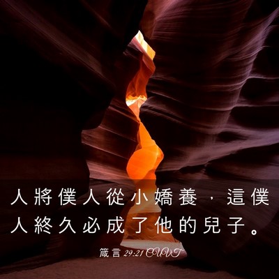 Picture 03 - 箴 言 29:21 CUVT - 人 將 僕 人 從 小 嬌 養 ， 這 僕 人 - Bible Verse Picture
