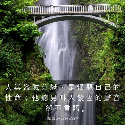 Picture 03 - 箴 言 29:24 CUVT - 人 與 盜 賊 分 贓 ， 是 恨 惡 自 己 - Bible Verse Picture