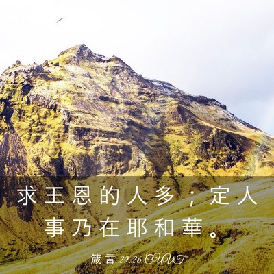 Picture 03 - 箴 言 29:26 CUVT - 求 王 恩 的 人 多 ； 定 人 事 乃 在 - Bible Verse Picture
