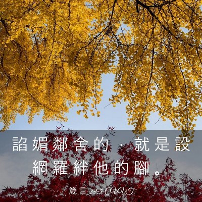 Picture 03 - 箴 言 29:5 CUVT - 諂 媚 鄰 舍 的 ， 就 是 設 網 羅 絆 - Bible Verse Picture