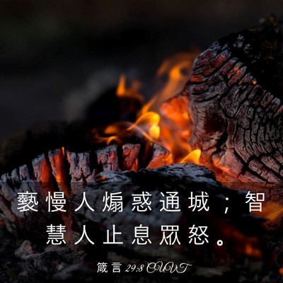 Picture 03 - 箴 言 29:8 CUVT - 褻 慢 人 煽 惑 通 城 ； 智 慧 人 止 - Bible Verse Picture