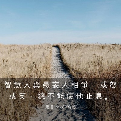 Picture 03 - 箴 言 29:9 CUVT - 智 慧 人 與 愚 妄 人 相 爭 ， 或 怒 - Bible Verse Picture