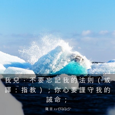 Picture 03 - 箴 言 3:1 CUVT - 我 兒 ， 不 要 忘 記 我 的 法 則 （ - Bible Verse Picture