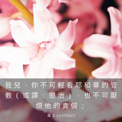 Picture 03 - 箴 言 3:11 CUVT - 我 兒 ， 你 不 可 輕 看 耶 和 華 的 - Bible Verse Picture