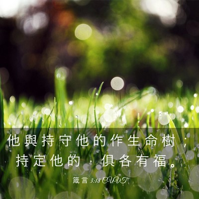 Picture 03 - 箴 言 3:18 CUVT - 他 與 持 守 他 的 作 生 命 樹 ； 持 - Bible Verse Picture