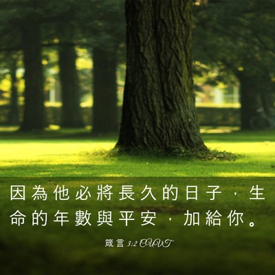 Picture 03 - 箴 言 3:2 CUVT - 因 為 他 必 將 長 久 的 日 子 ， 生 - Bible Verse Picture