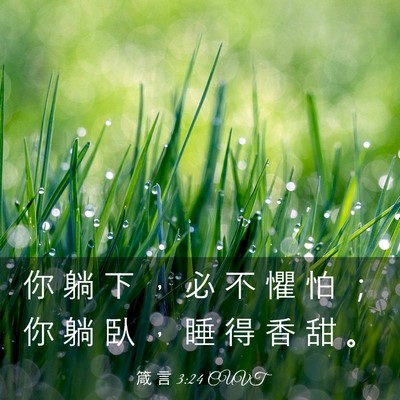 Picture 03 - 箴 言 3:24 CUVT - 你 躺 下 ， 必 不 懼 怕 ； 你 躺 臥 - Bible Verse Picture