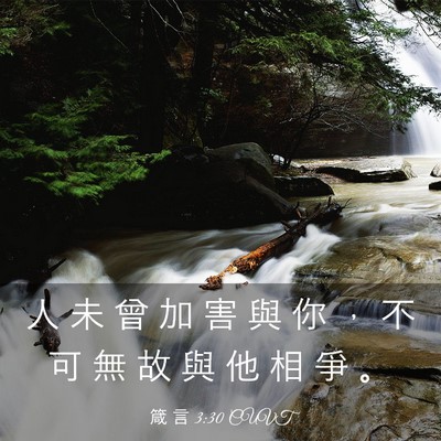 Picture 03 - 箴 言 3:30 CUVT - 人 未 曾 加 害 與 你 ， 不 可 無 故 - Bible Verse Picture