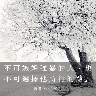 Picture 03 - 箴 言 3:31 CUVT - 不 可 嫉 妒 強 暴 的 人 ， 也 不 可 - Bible Verse Picture