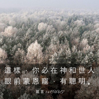 Picture 03 - 箴 言 3:4 CUVT - 這 樣 ， 你 必 在 神 和 世 人 眼 前 - Bible Verse Picture