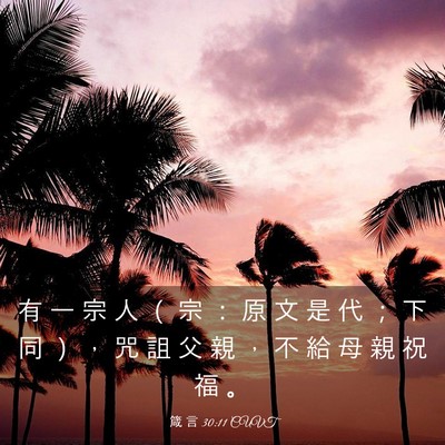 Picture 03 - 箴 言 30:11 CUVT - 有 一 宗 人 （ 宗 ： 原 文 是 代 ； - Bible Verse Picture