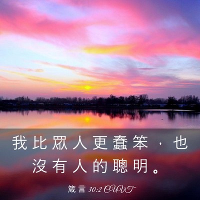 Picture 03 - 箴 言 30:2 CUVT - 我 比 眾 人 更 蠢 笨 ， 也 沒 有 人 - Bible Verse Picture